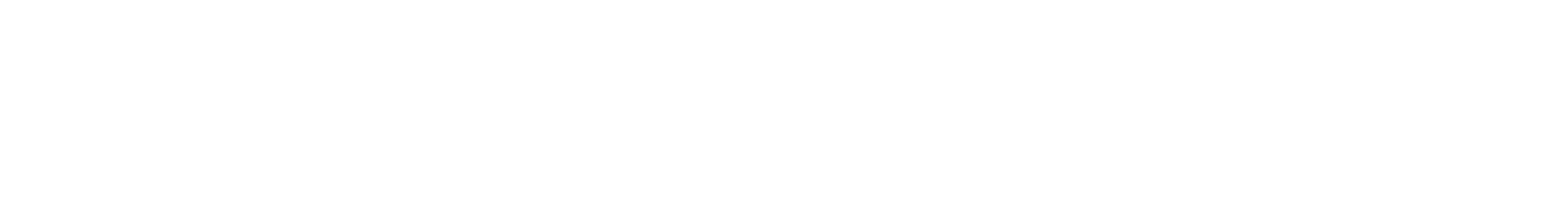 flash sale