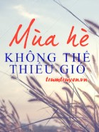 Mùa Hè Không Thể Thiếu Gió